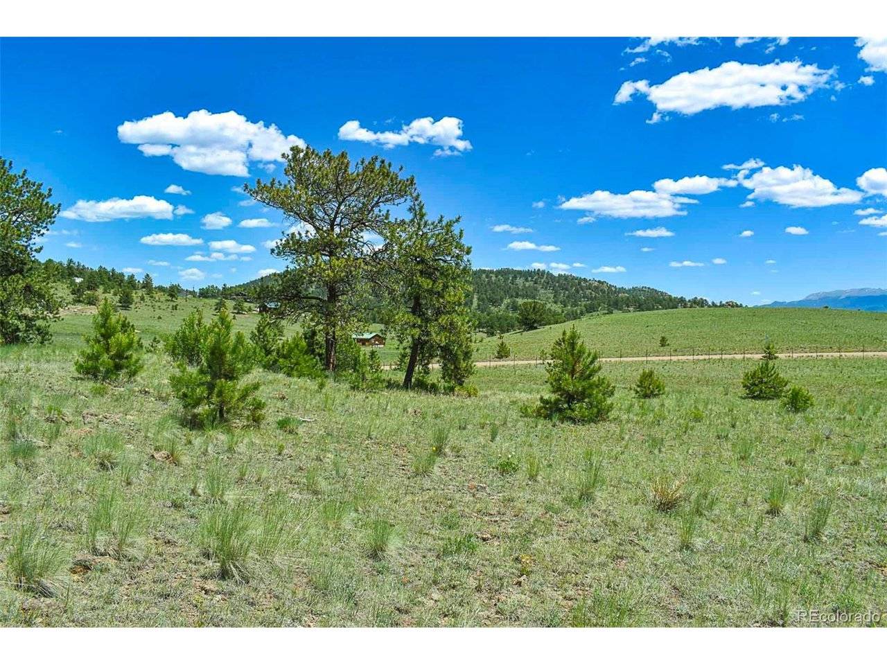 56 View, Guffey, CO 80820