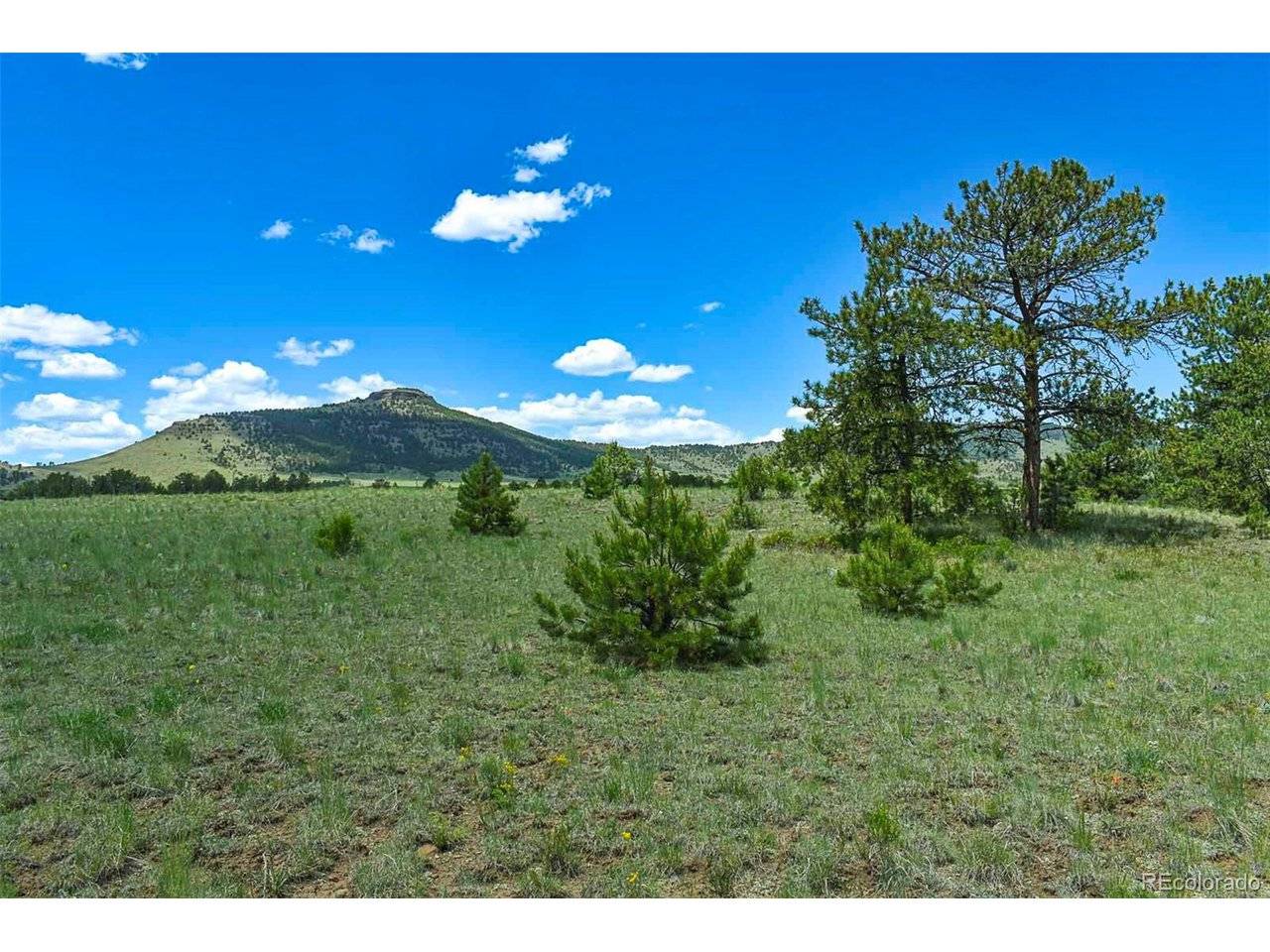 56 View, Guffey, CO 80820