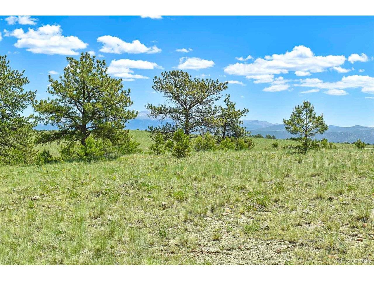 56 View, Guffey, CO 80820