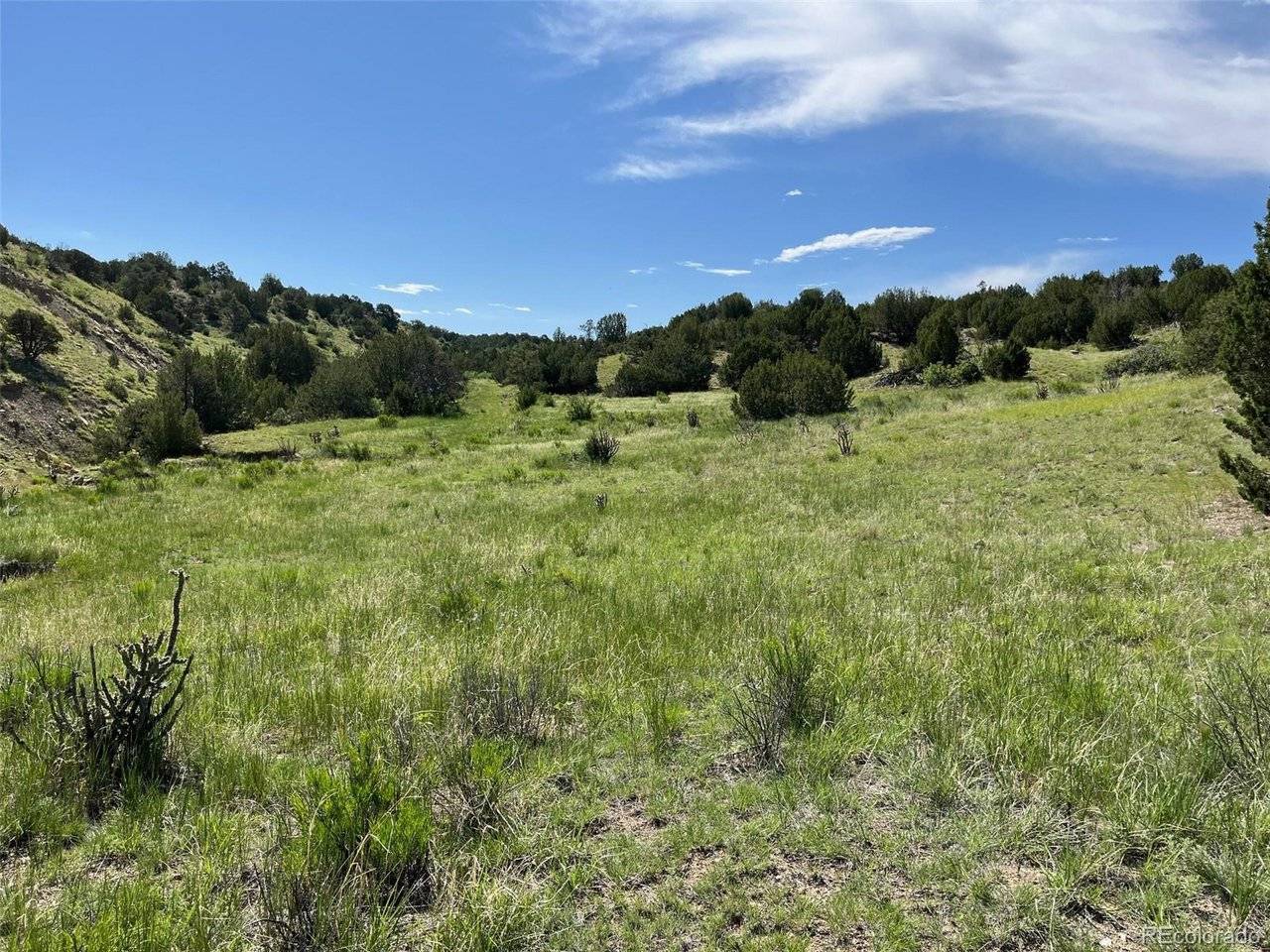 0 Railroad Springs, Pueblo, CO 81004