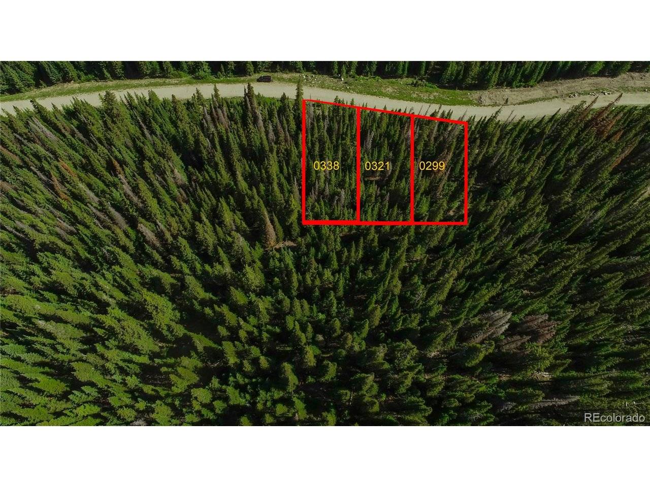 339 CR 805, Breckenridge, CO 80424