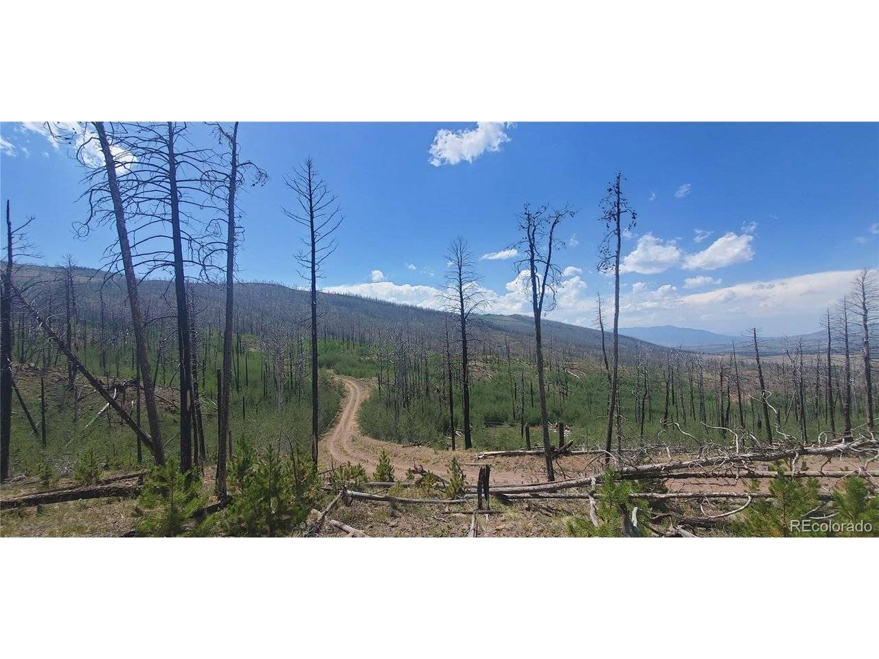 854 Slaoui, Fort Garland, CO 81133