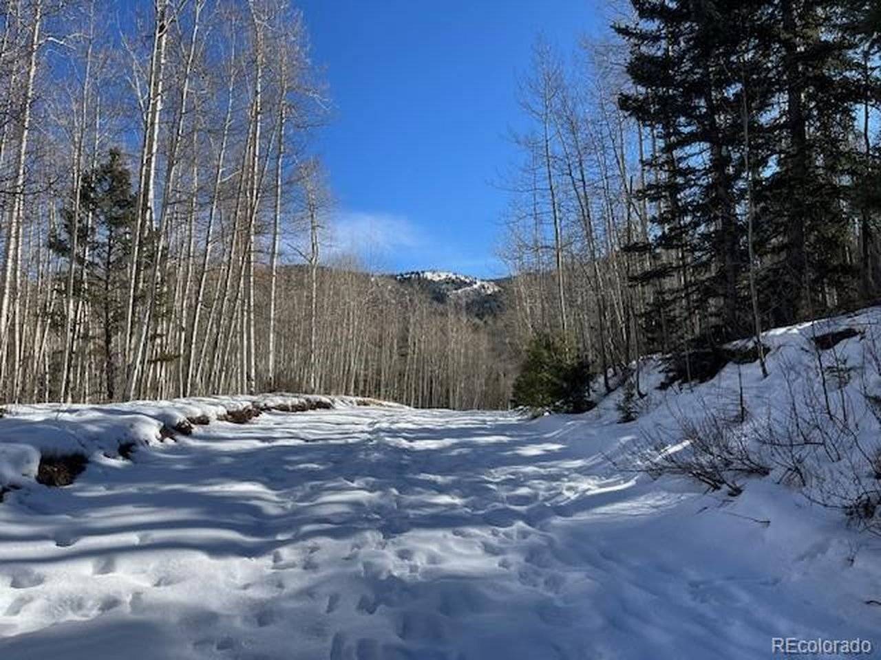 5252 Scott, Fort Garland, CO 81133