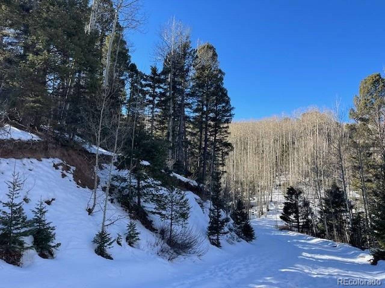 5252 Scott, Fort Garland, CO 81133