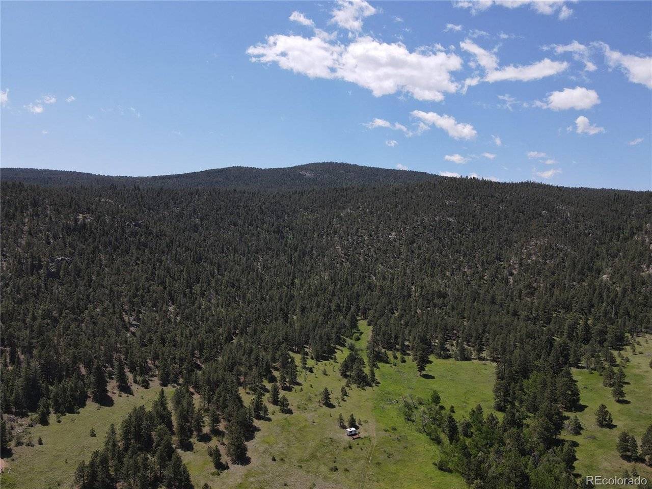 591599 Soul Shine, Drake, CO 80515