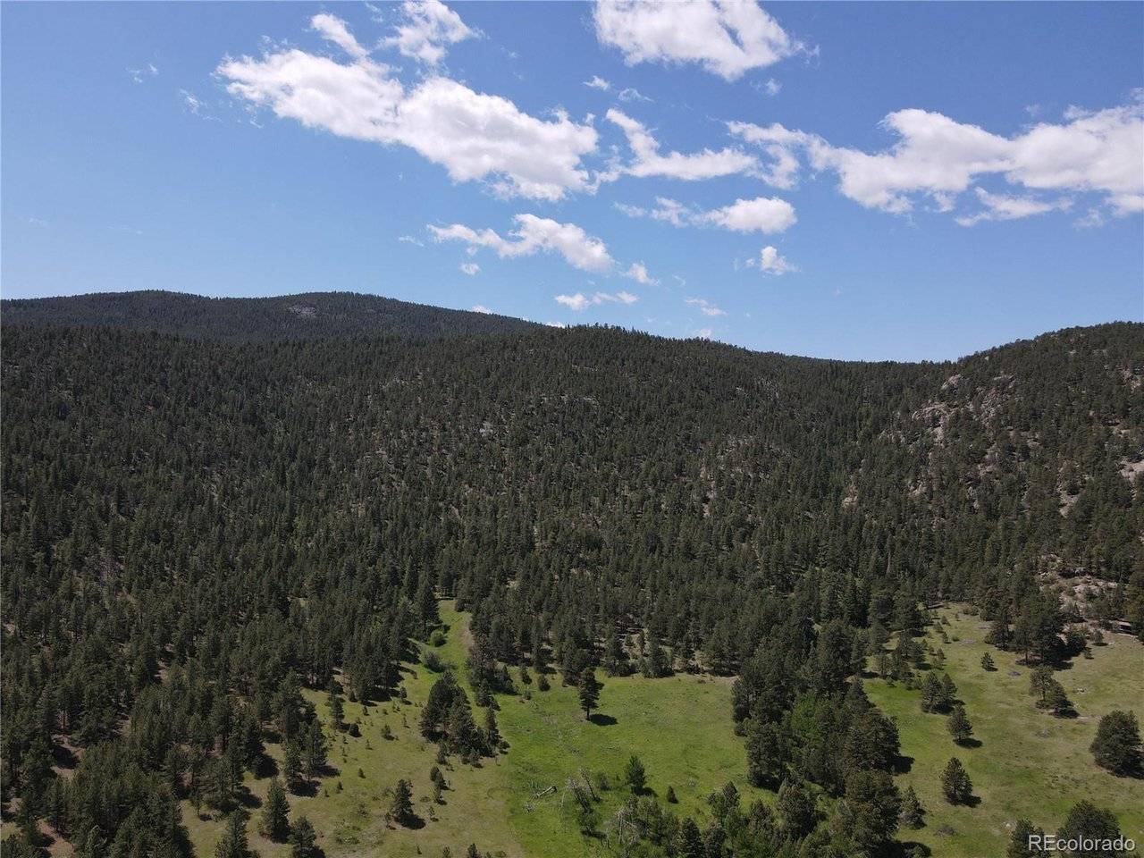 591599 Soul Shine, Drake, CO 80515