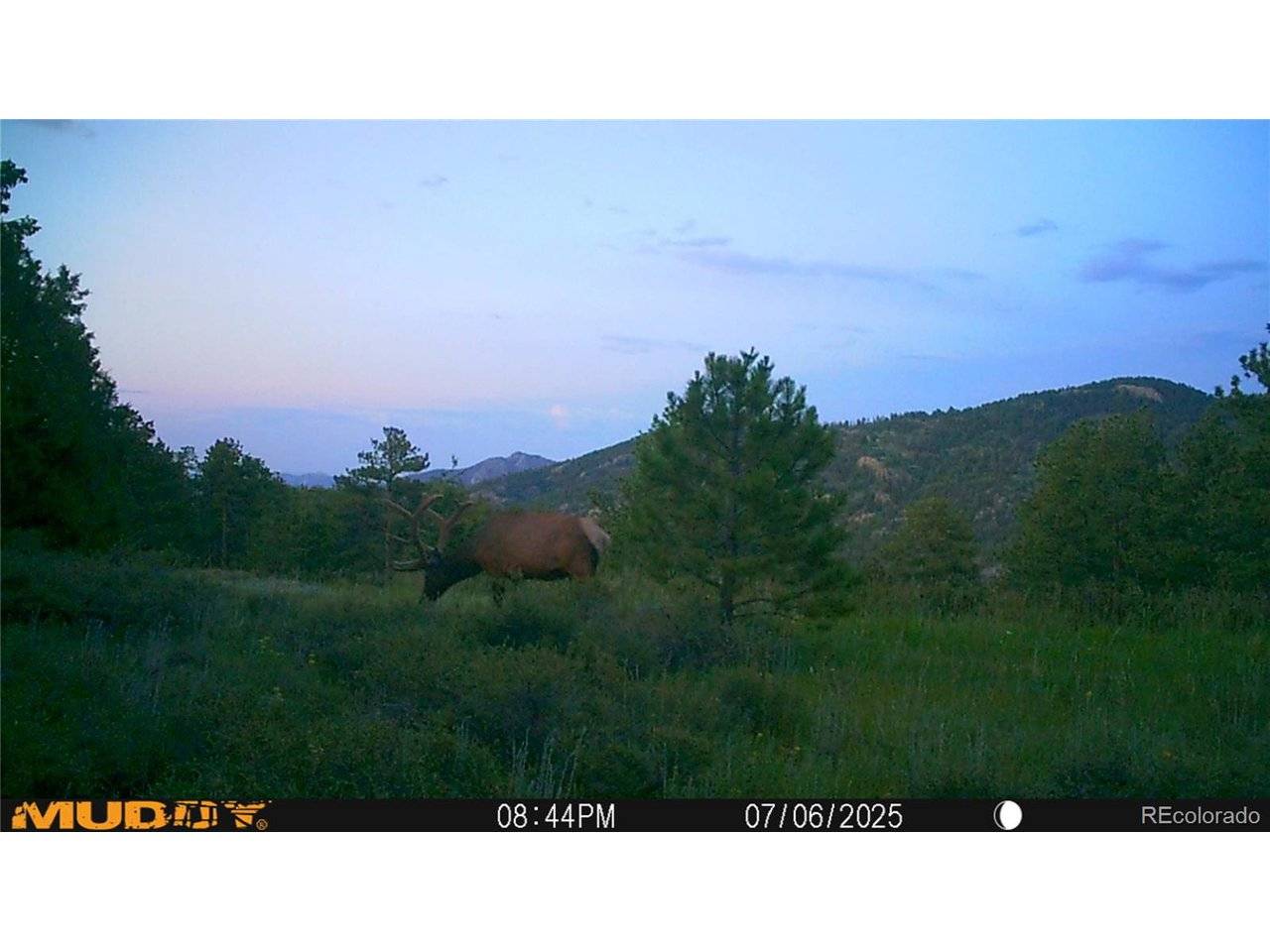 591599 Soul Shine, Drake, CO 80515