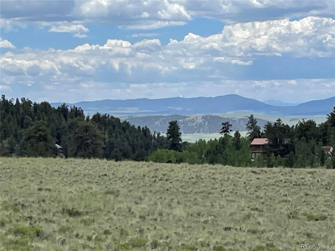 853 La Plata, Hartsel, CO 80449