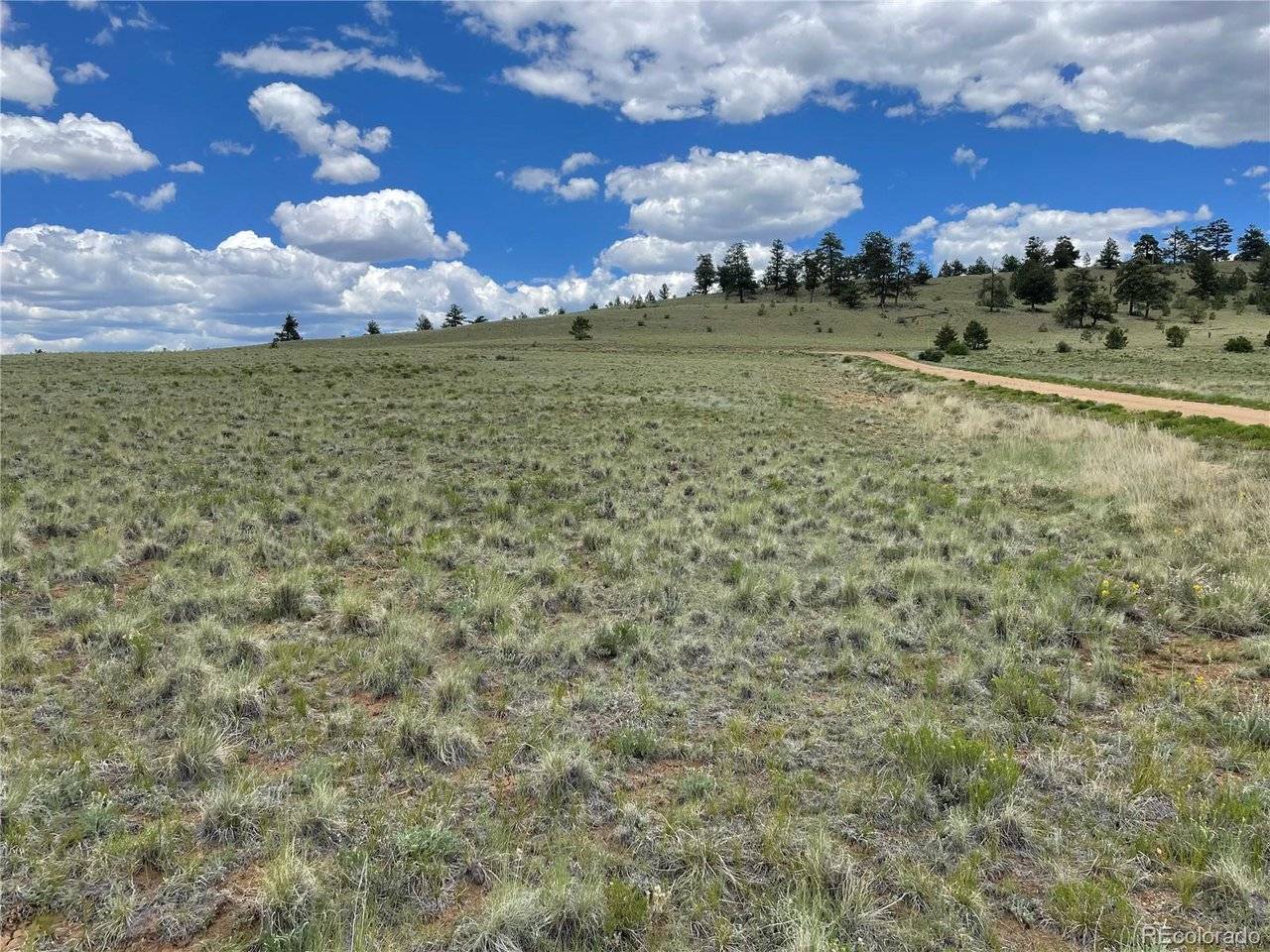853 La Plata, Hartsel, CO 80449