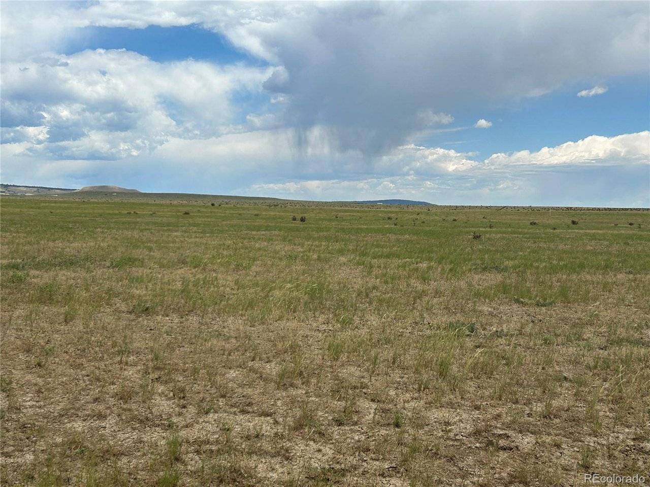 53 Colorado Buffalo Ranch, Walsenburg, CO 81089