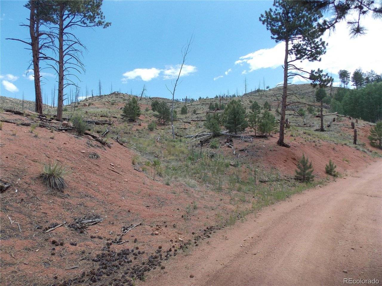 14691 Crooked Trail, Woodland Park, CO 80863