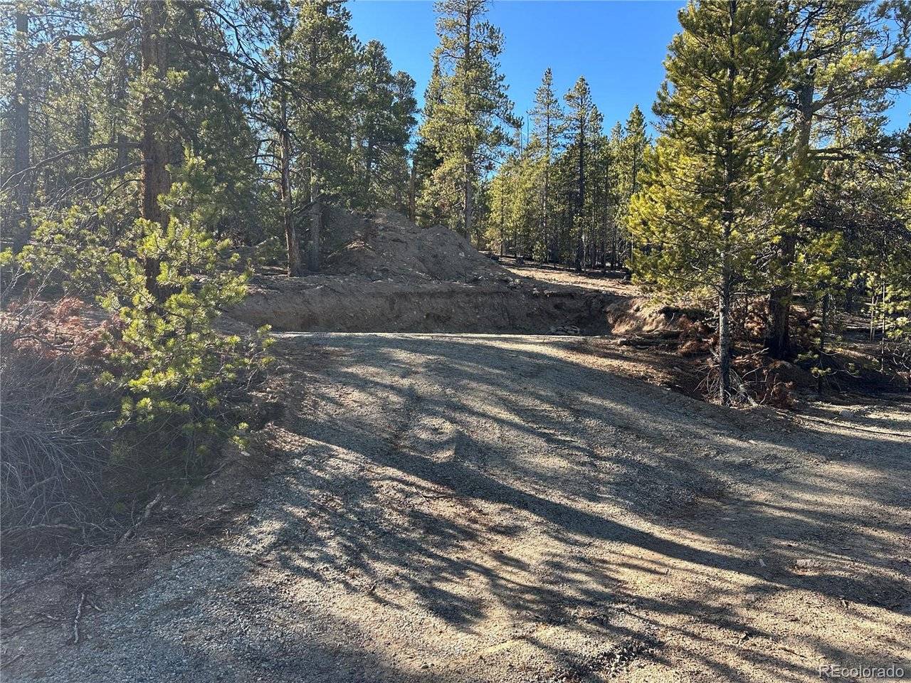 48 Lodgepole, Leadville, CO 80461