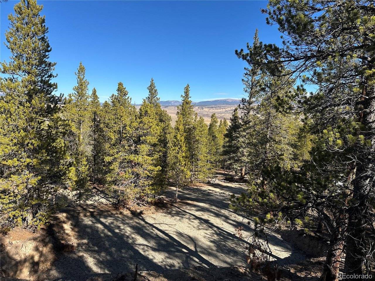 48 Lodgepole, Leadville, CO 80461