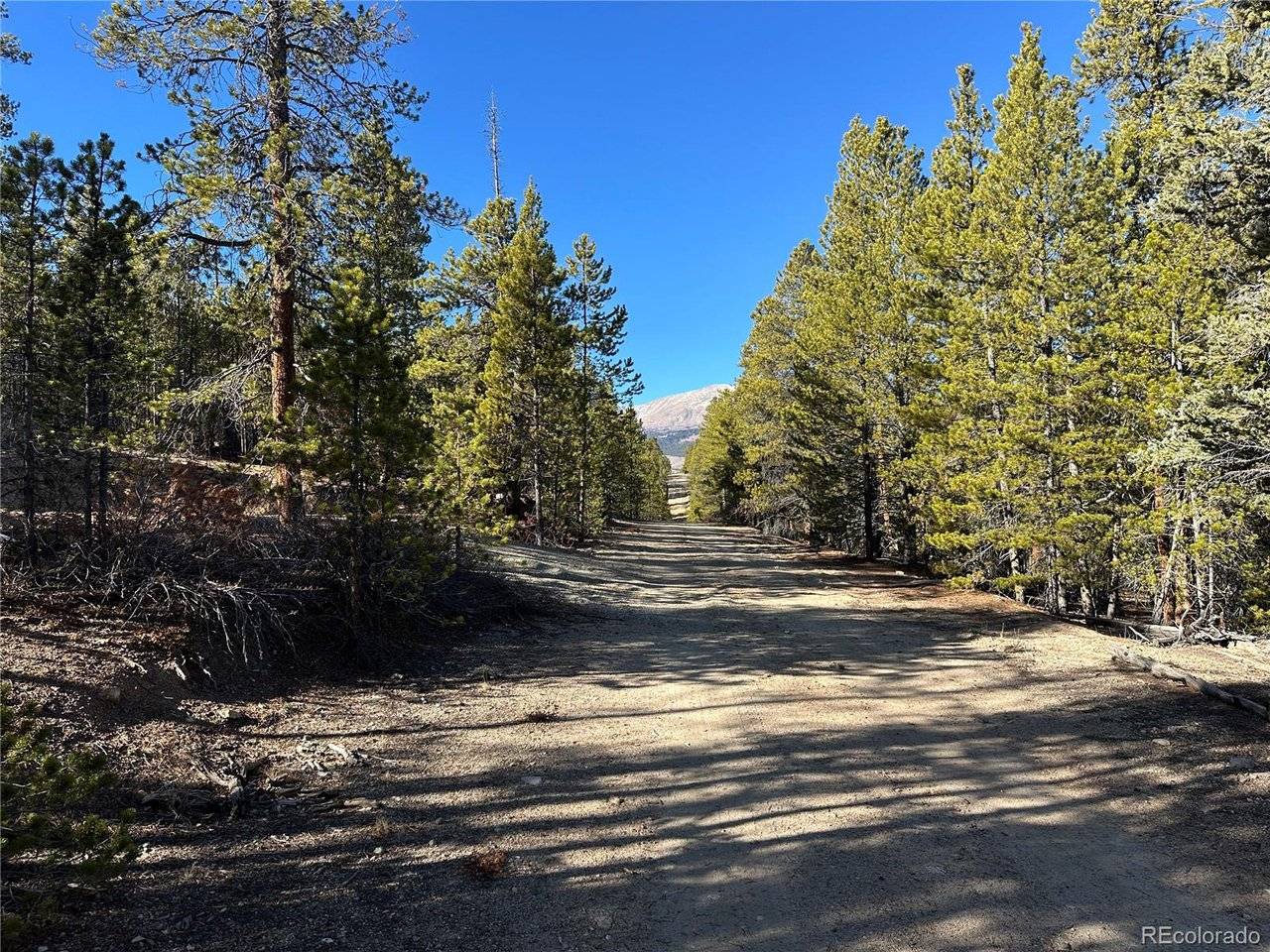 48 Lodgepole, Leadville, CO 80461