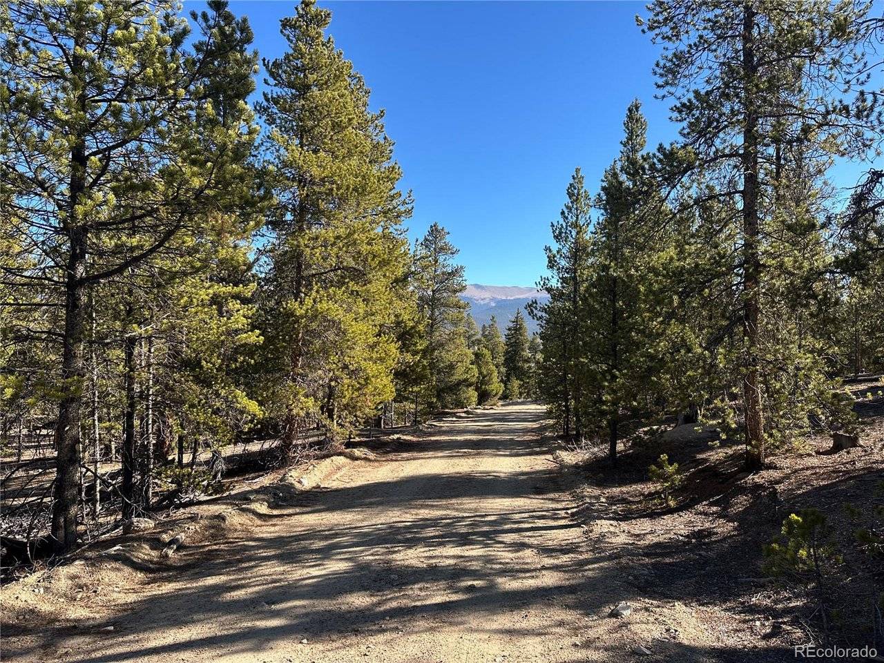 48 Lodgepole, Leadville, CO 80461