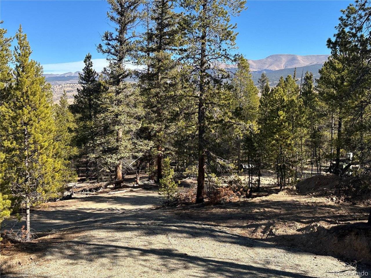 48 Lodgepole, Leadville, CO 80461