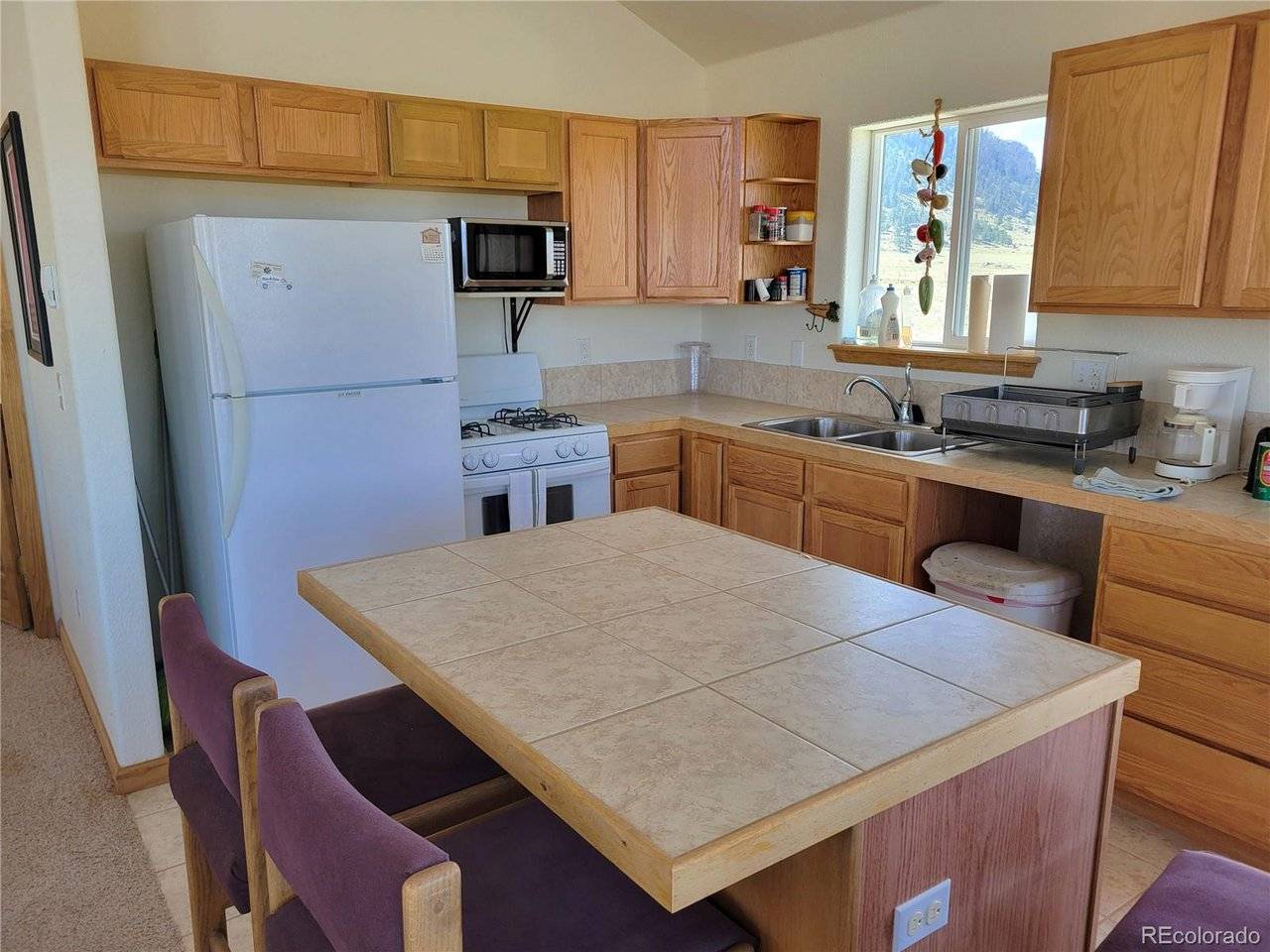 3150 High Chaparral, Lake George, CO 80449