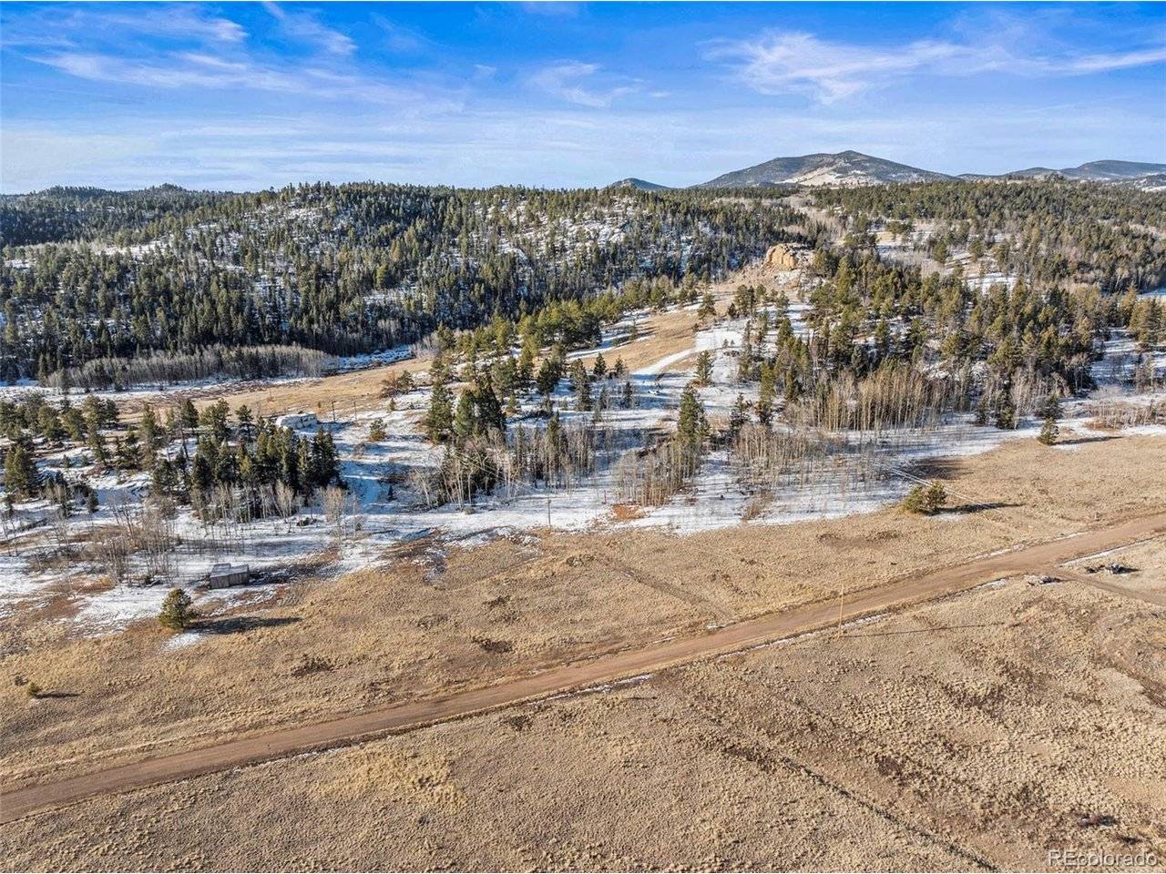 546 Alpine Meadows, Florissant, CO 80816
