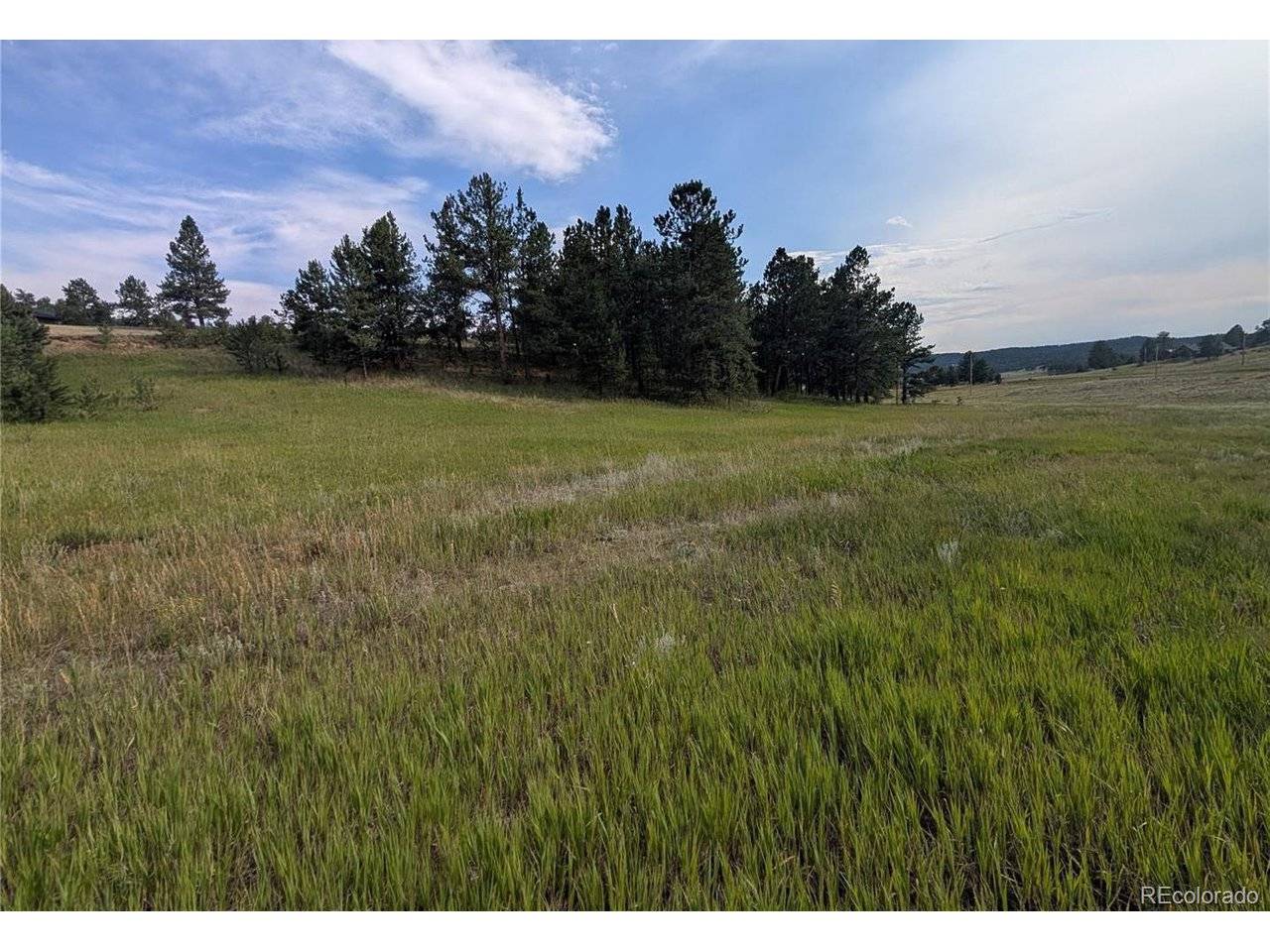 1379 S Mountain Estates, Florissant, CO 80816
