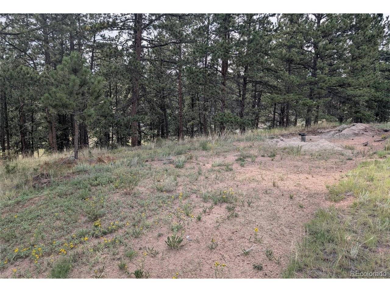 1379 S Mountain Estates, Florissant, CO 80816
