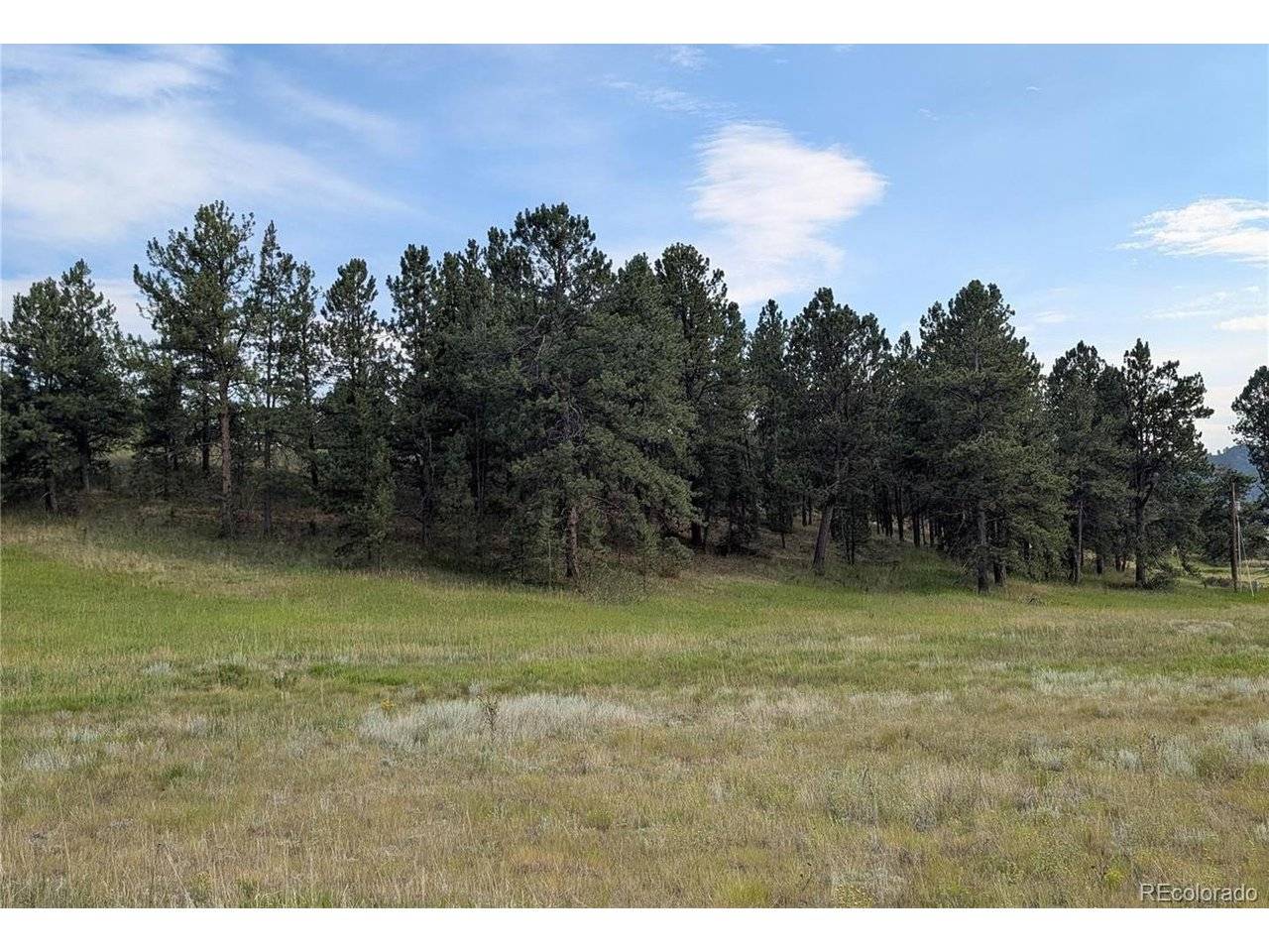 1379 S Mountain Estates, Florissant, CO 80816