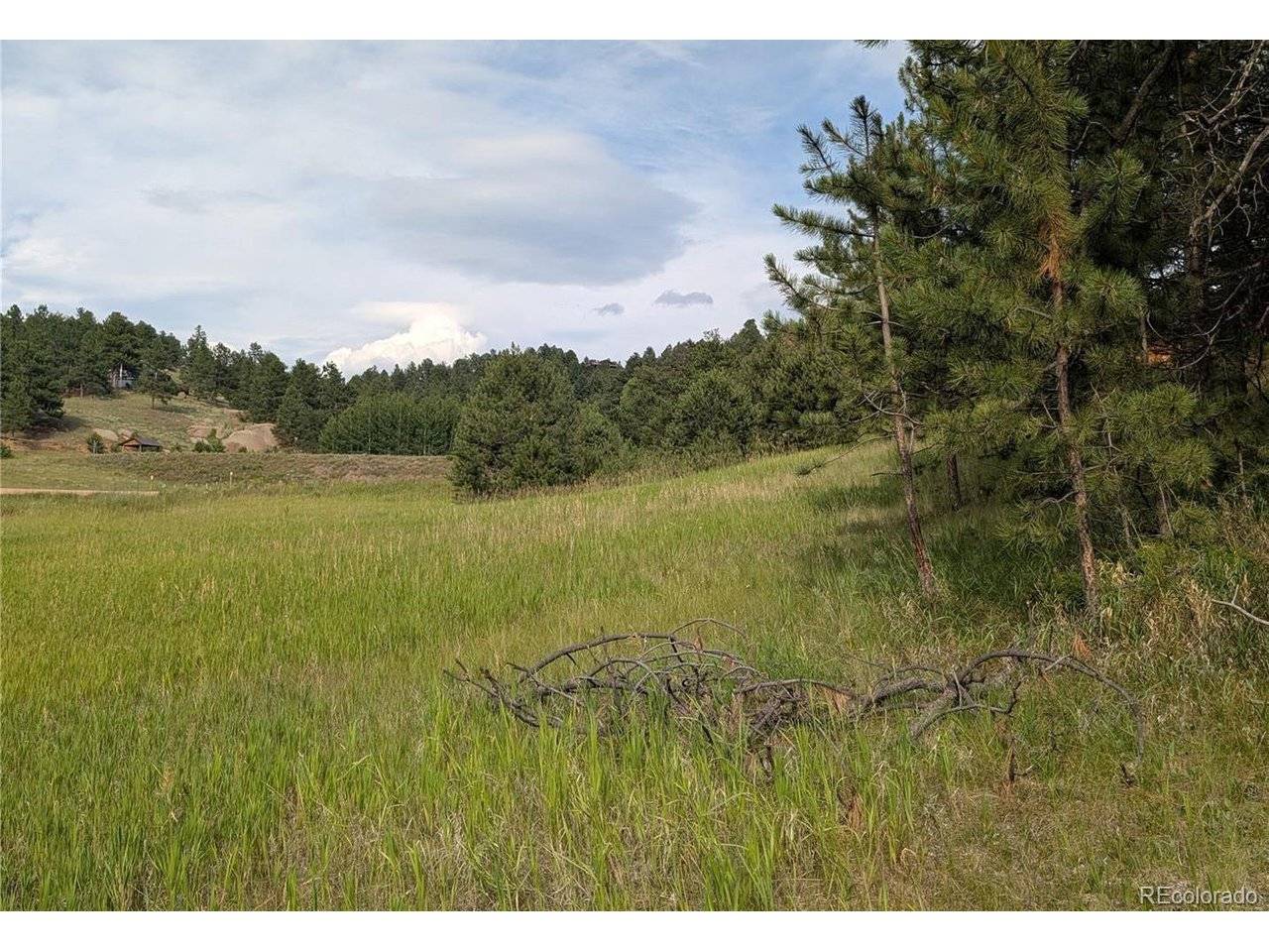 1379 S Mountain Estates, Florissant, CO 80816