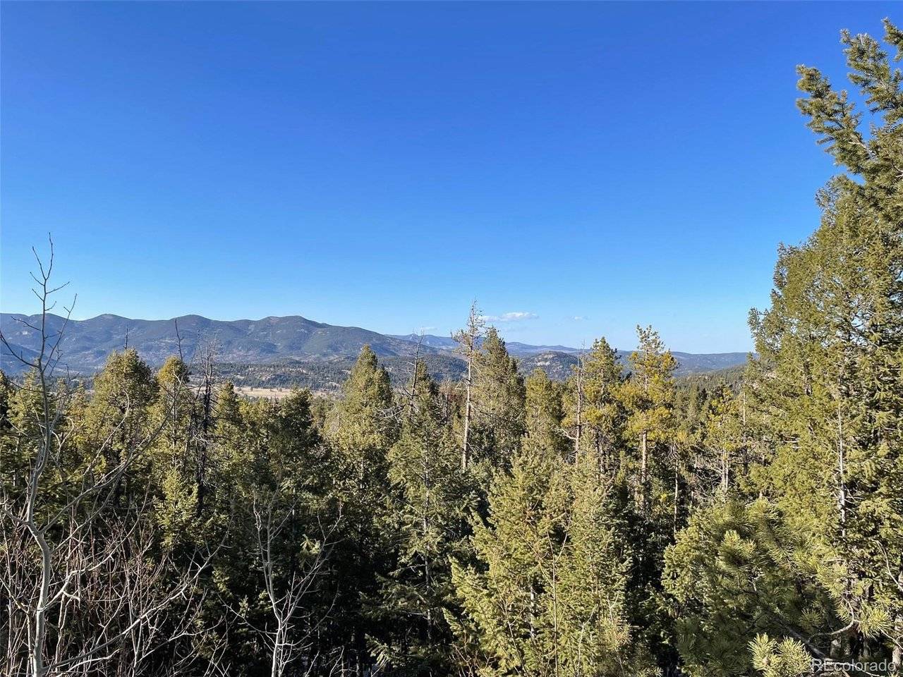 33131 Lynx, Evergreen, CO 80439