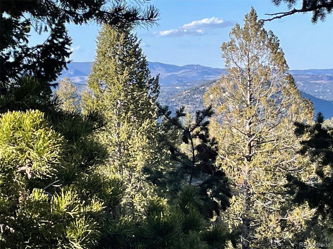 33131 Lynx, Evergreen, CO 80439