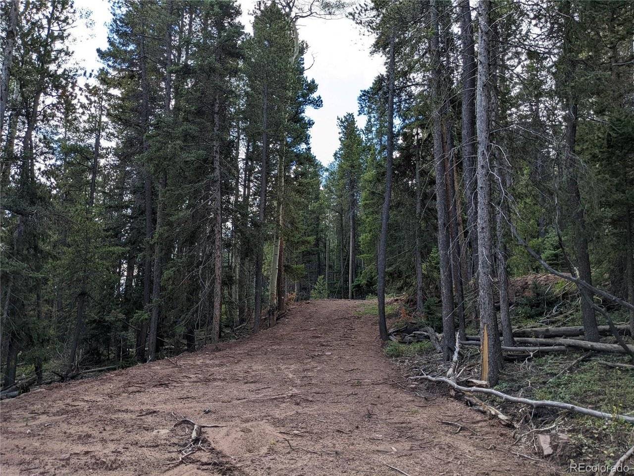 2379 Larry, Fort Garland, CO 81133