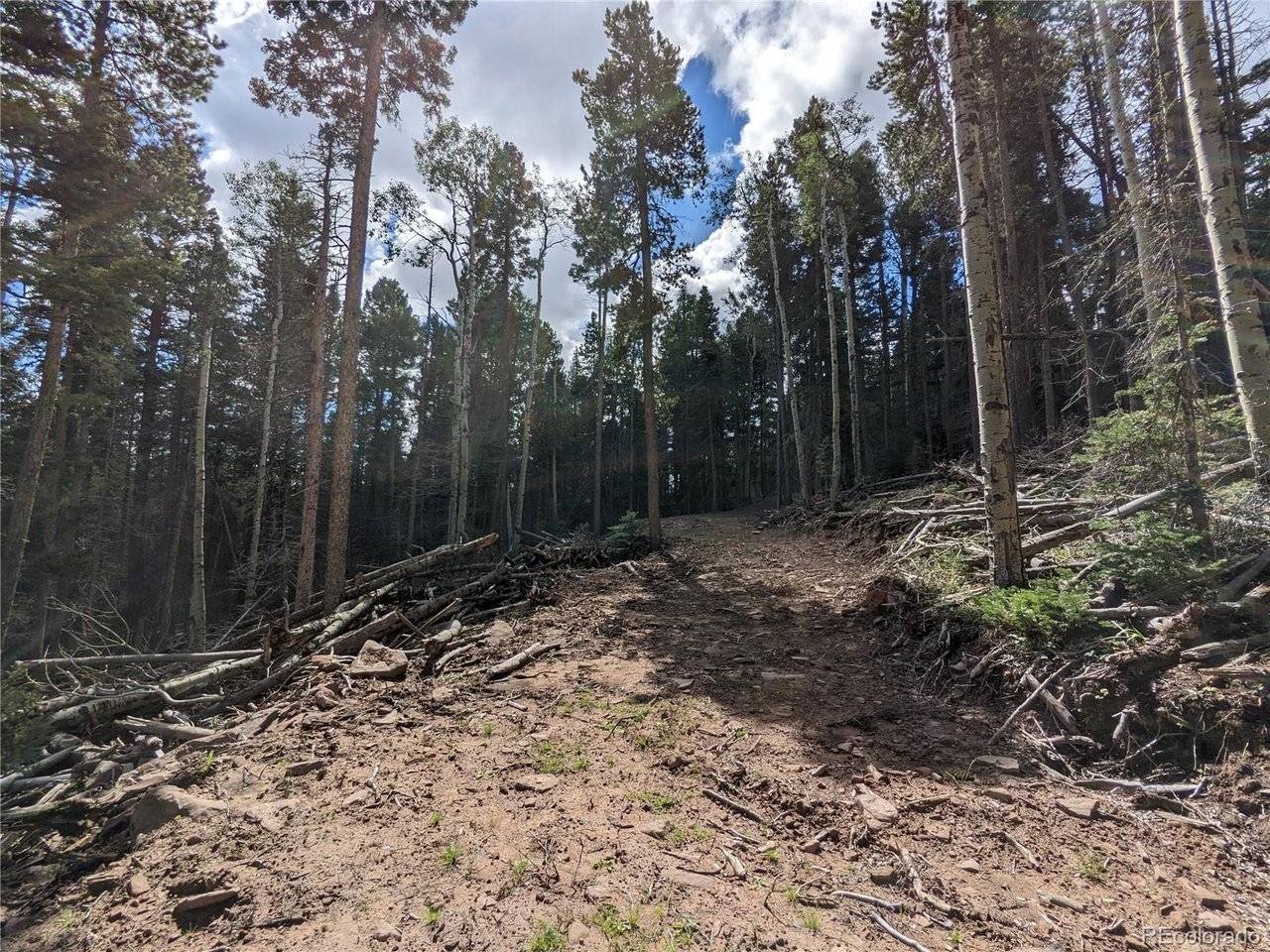 2379 Larry, Fort Garland, CO 81133