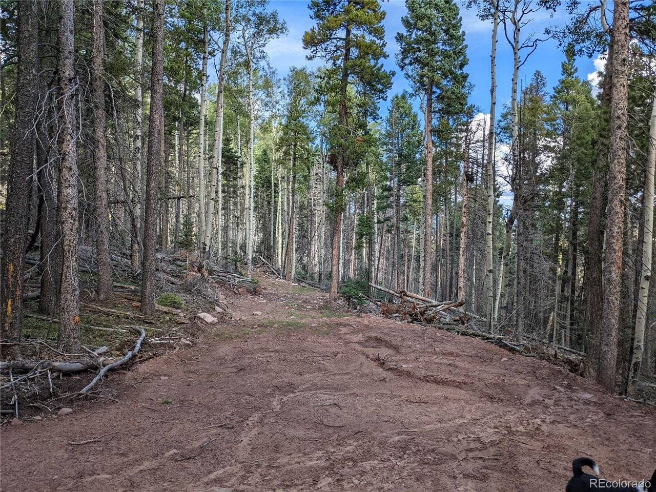 2379 Larry, Fort Garland, CO 81133