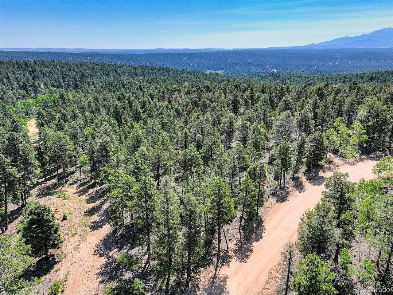 1002 Indian Creek, Florissant, CO 80816