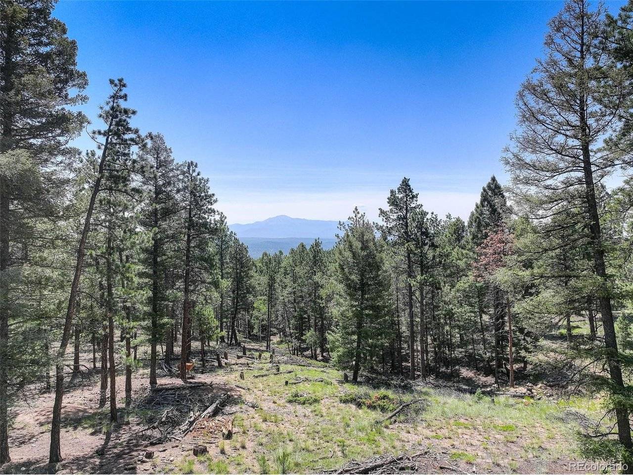 1002 Indian Creek, Florissant, CO 80816