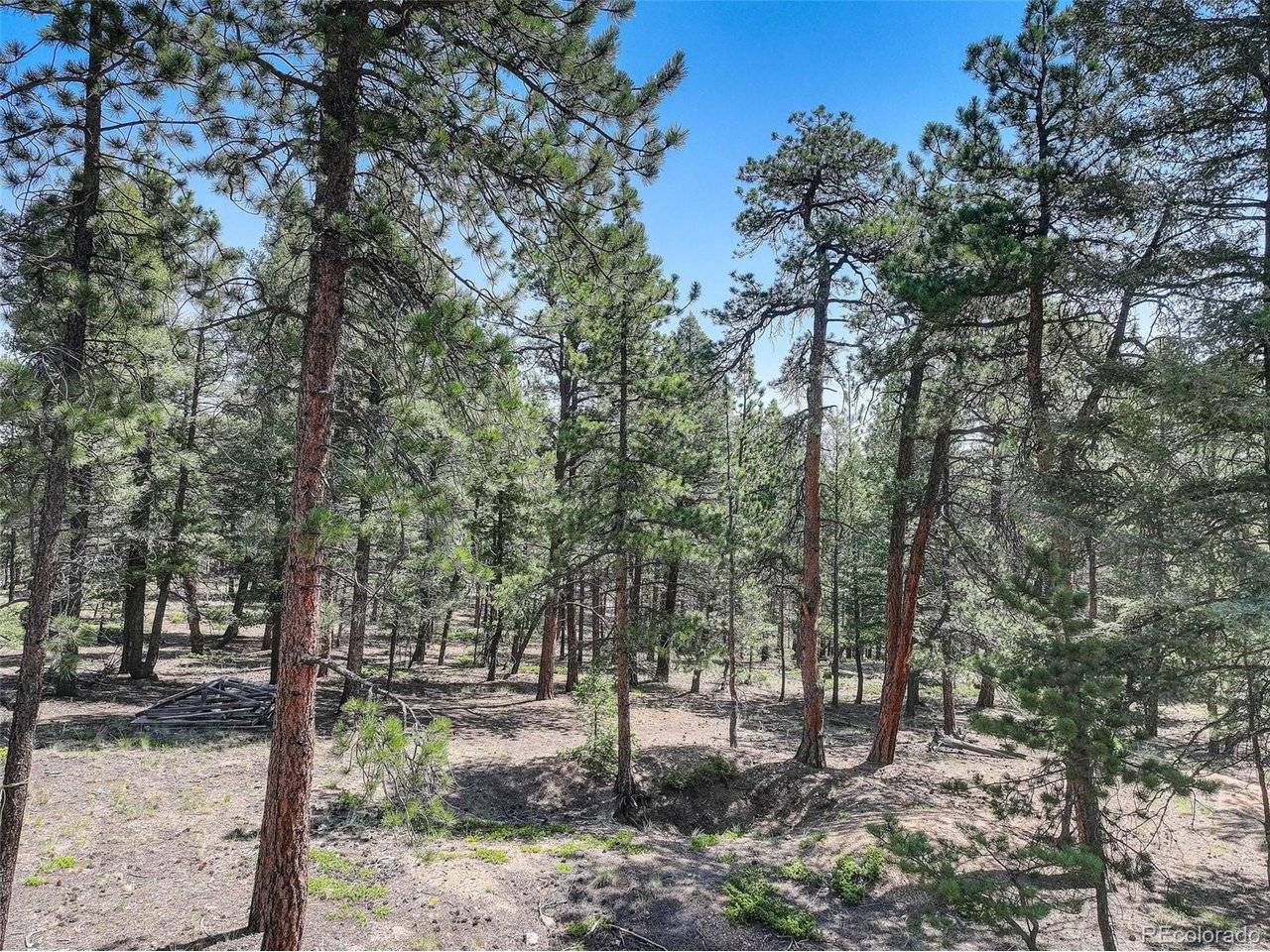1002 Indian Creek, Florissant, CO 80816