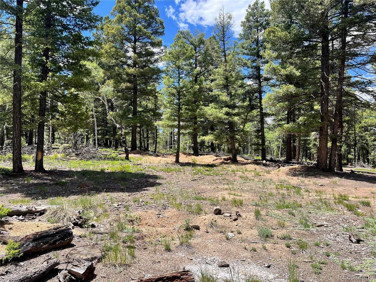 1002 Indian Creek, Florissant, CO 80816