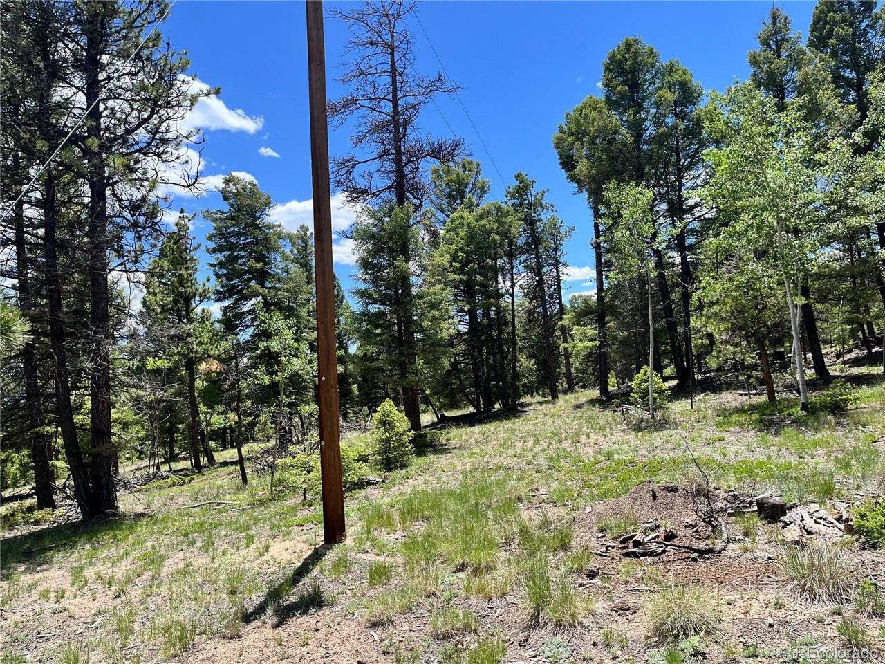 1002 Indian Creek, Florissant, CO 80816