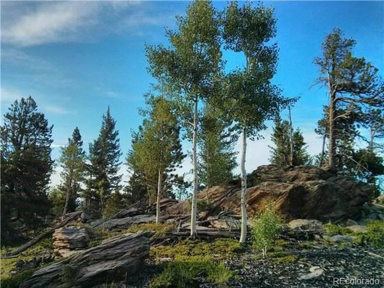 1695 Packsaddle, Evergreen, CO 80439
