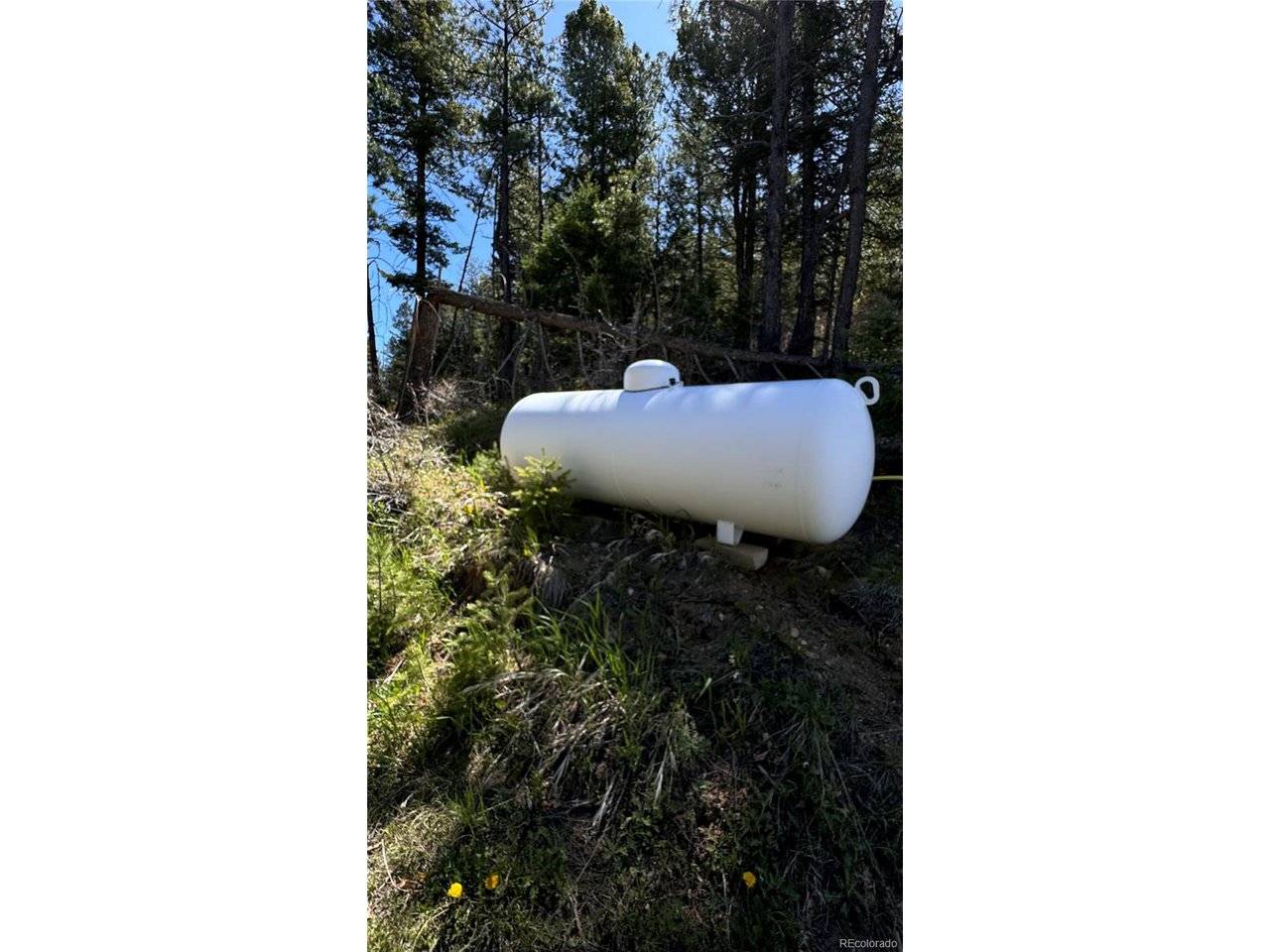 17222 Little Shadow, Littleton, CO 80127