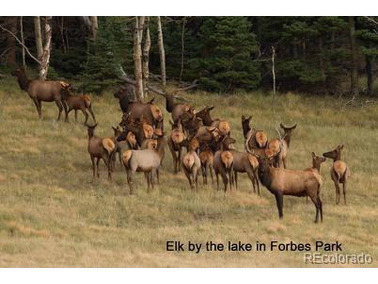 2354 Benton, Fort Garland, CO 81133