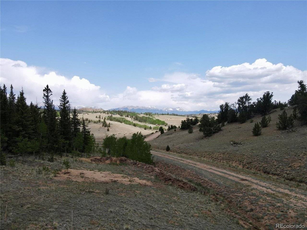 84 Konik, Como, CO 80432