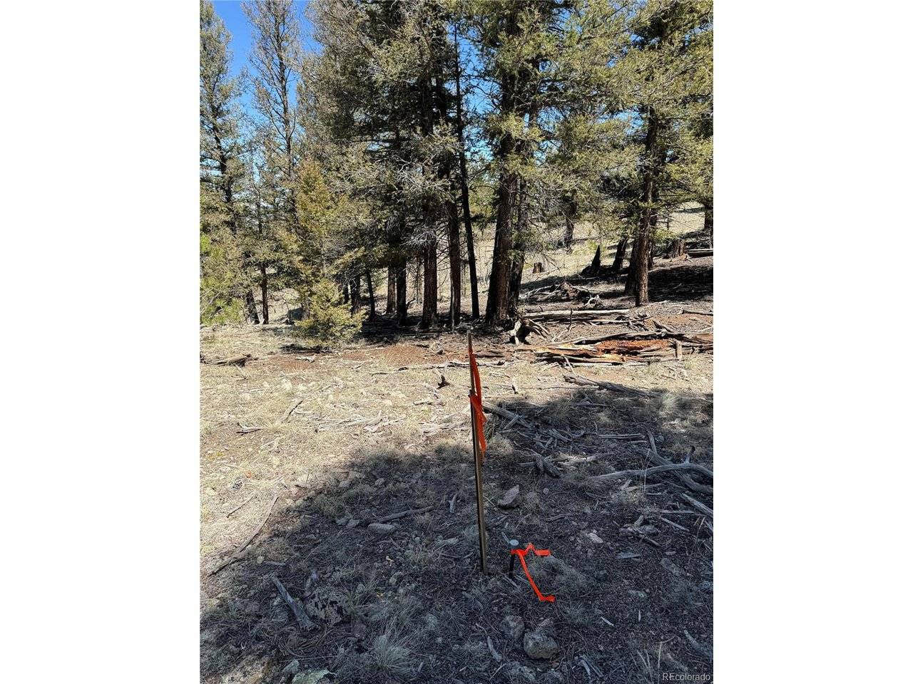 353 Adobe, Hartsel, CO 80449