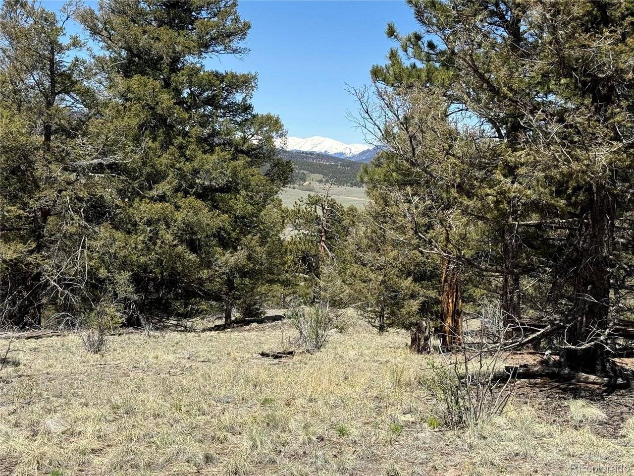353 Adobe, Hartsel, CO 80449