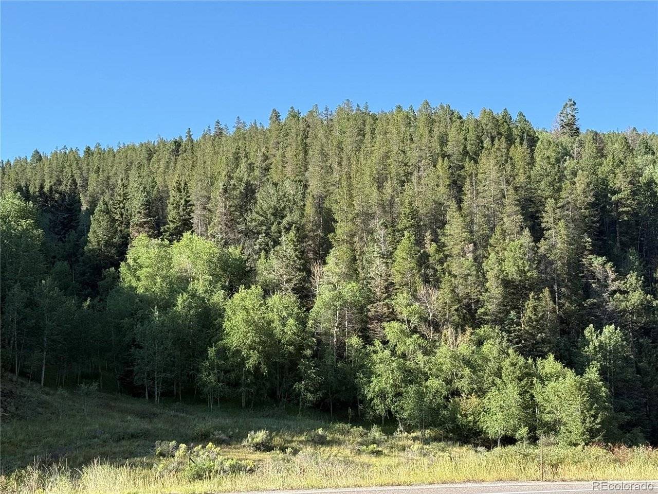 223 Hwy 160, Fort Garland, CO 81133
