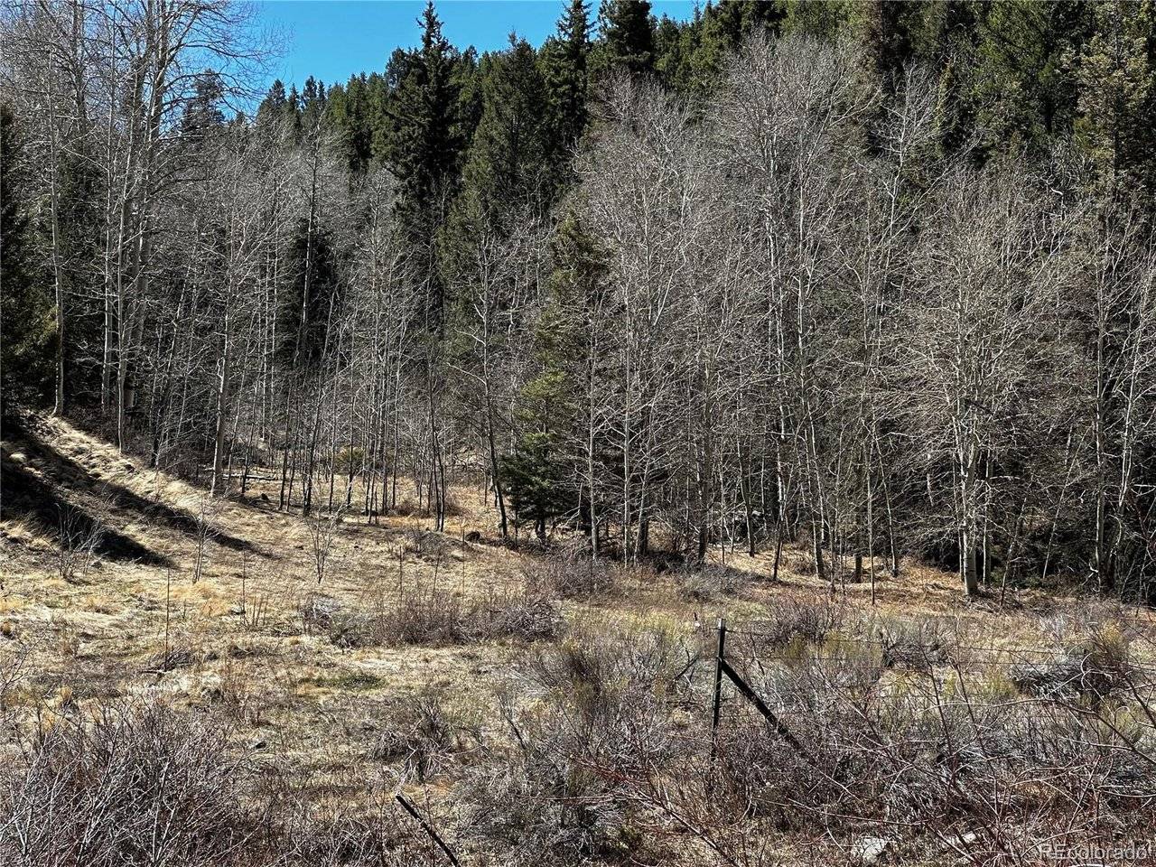 223 Hwy 160, Fort Garland, CO 81133