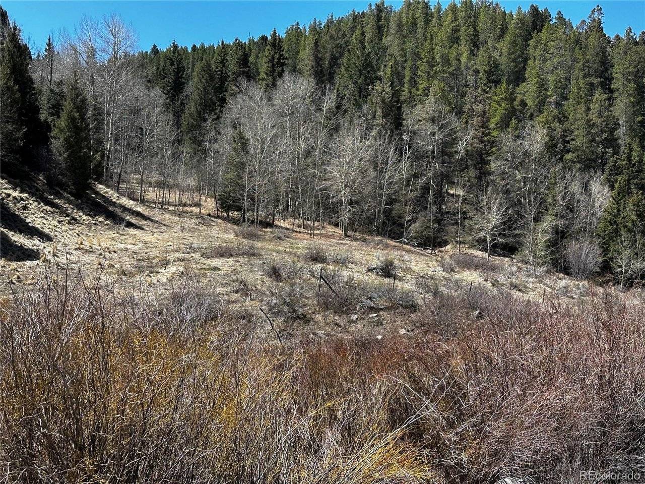 223 Hwy 160, Fort Garland, CO 81133