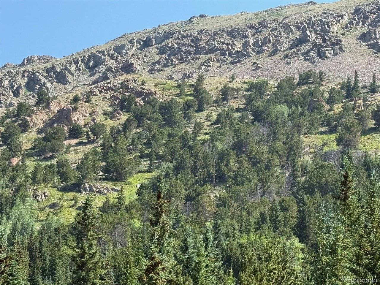 3800 Fourth of July, Nederland, CO 80216