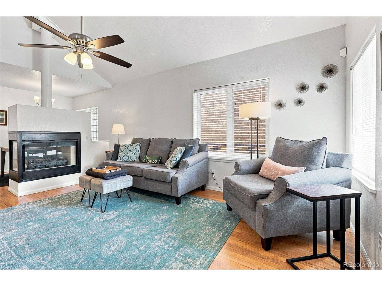 1028 Jackson, Denver, CO 80206