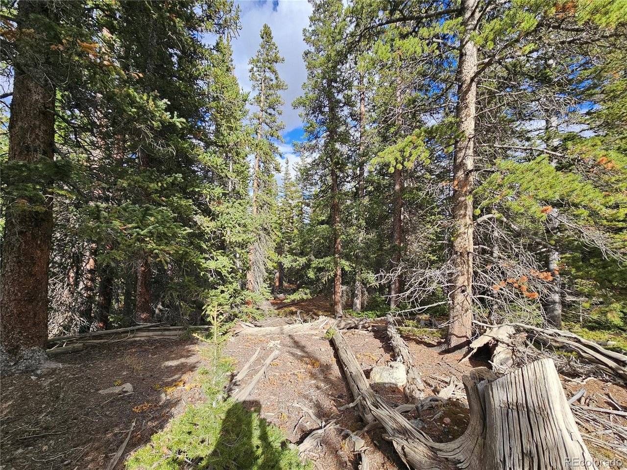 617 Gold Trail, Fairplay, CO 80440