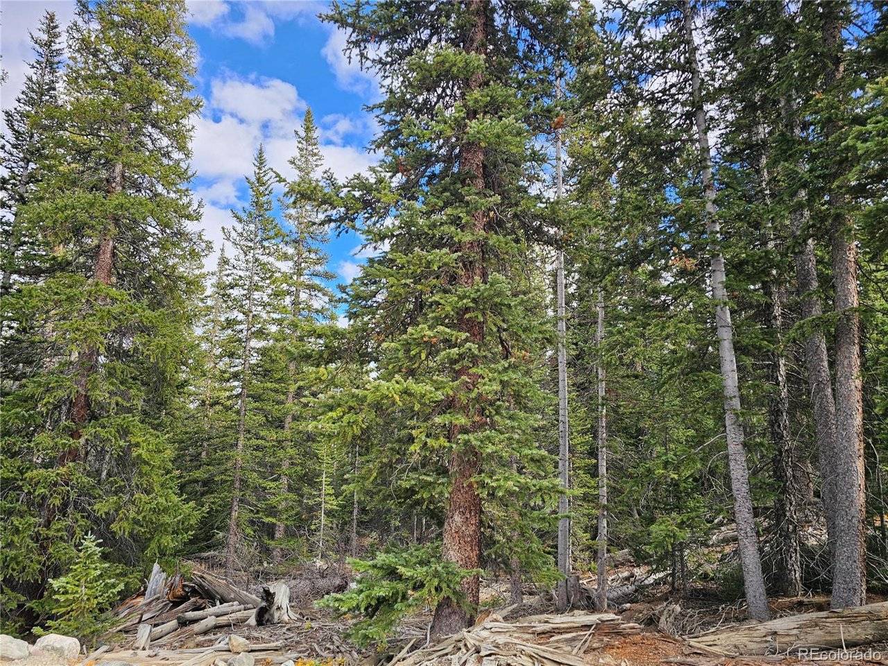 617 Gold Trail, Fairplay, CO 80440