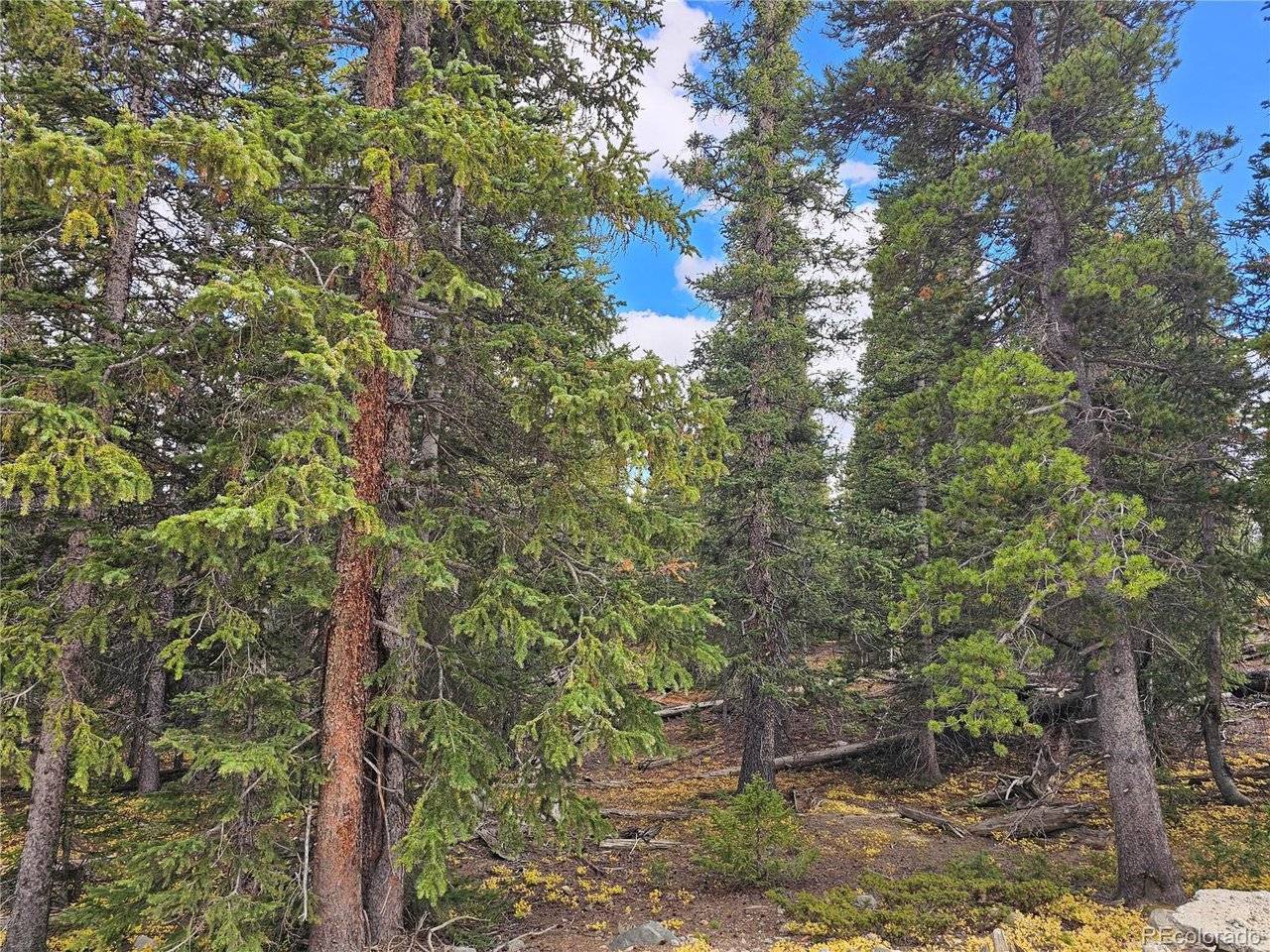 617 Gold Trail, Fairplay, CO 80440